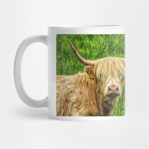 Highland cow in the green grass by Jane Braat